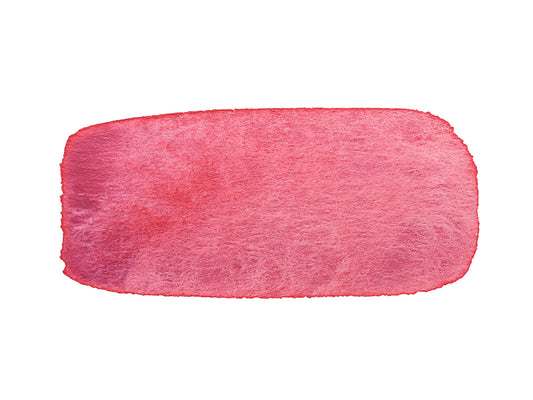 A hand painted swatch of CfM Pluot.