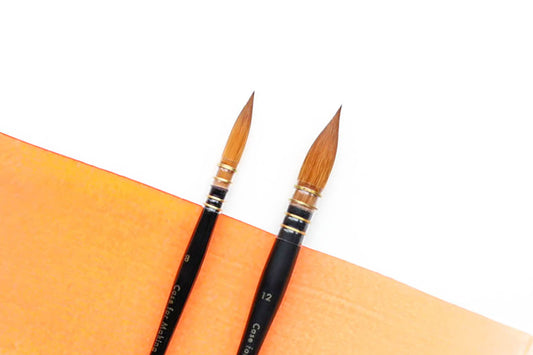 Additional product photo of the CfM Mop Brushes.