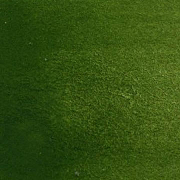 A cropped close up of the CfM Olive swatch.