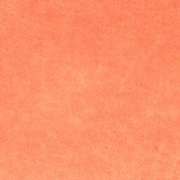 A cropped close up of the CfM Peach swatch.