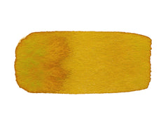 CfM Algae
