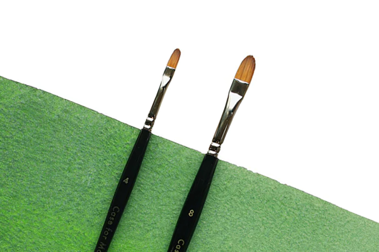 Additional product photo of the CfM Filbert Brushes.