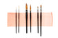 CfM Mop, Filbert & Liner Brush Bundle, with this bundle, you'll receive each of our CfM Mop, Filbert, and Liner Brushes—and save $7!