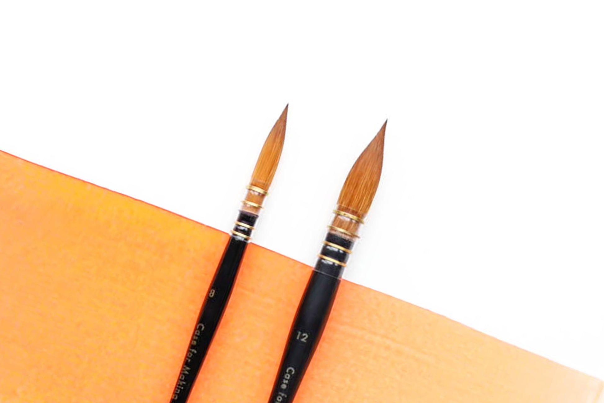 Additional product photo of the CfM Mop Brushes.