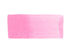 CfM Rose