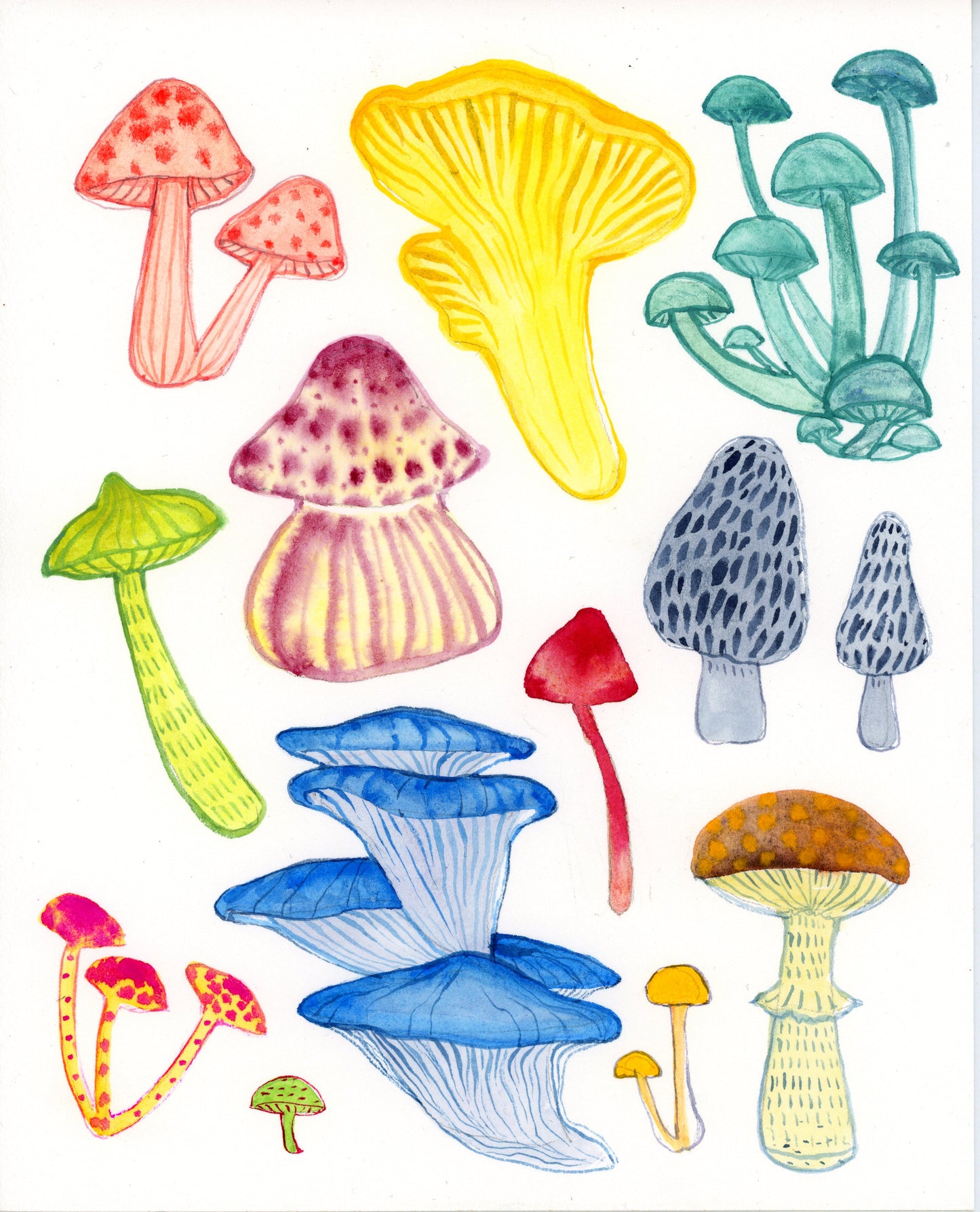 Fantastic Fungi with Melanie Lan